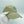 Green Head Cap - Studio Mumm